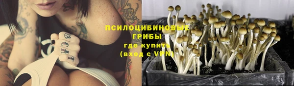 a pvp Балабаново