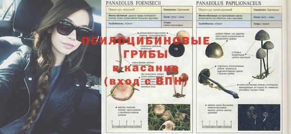 мескалин Белоозёрский