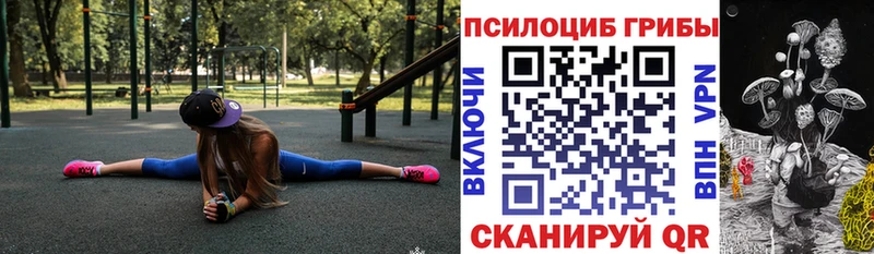 Псилоцибиновые грибы GOLDEN TEACHER Купить Малая Вишера