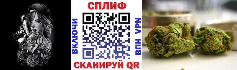 Купить закладки  Малая Вишера  Бошки Шишки White Widow 